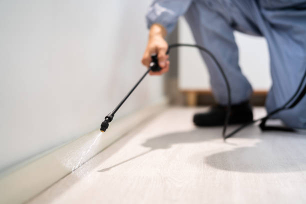 Licensed Fumigation Services service in Falkville, AL - Nex Pest Control
