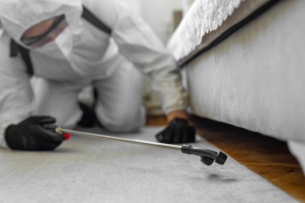Professional Fumigation Services technician working in Falkville, AL