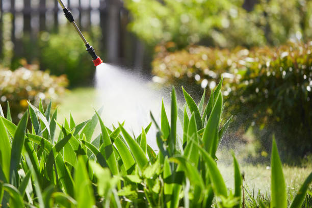 24/7 Emergency Fumigation Services experts in Falkville, AL