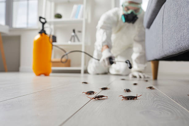 Trusted Rodent Control service in Falkville, AL - Nex Pest Control