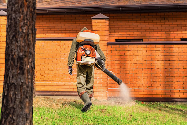 Trusted Bed Bug Control service in Falkville, AL - Nex Pest Control